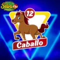 2026-05-13 14:00 12 Caballo