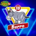 2025-04-29 11:00 18 Burro