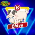 2025-06-13 08:00 19 Chivo