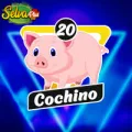 2025-06-13 12:00 20 Cochino
