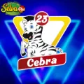 2025-07-19 18:00 23 Cebra