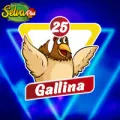2026-01-27 09:00 25 Gallina