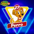 2025-06-14 10:00 27 Perro