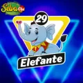 2025-06-13 13:00 29 Elefante