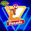 2026-01-17 14:00 34 Venado