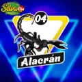 2025-06-13 15:00 4 Alacrán