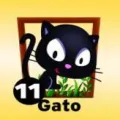 2025-12-13 10:00 11 Gato