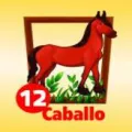2025-07-29 17:00 12 Caballo