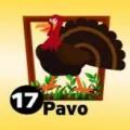2025-06-13 18:00 17 Pavo