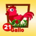 2025-06-13 13:00 21 Gallo