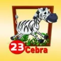 2025-06-13 10:00 23 Cebra