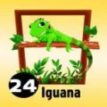 2025-07-20 10:00 24 Iguana