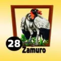 2025-06-14 12:00 28 Zamuro