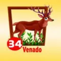 2025-07-29 19:00 34 Venado
