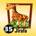2025-03-16 10:00 35 Jirafa