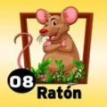 2025-06-13 19:00 8 Ratón