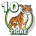 Resultado 10 Tigre de Zoologico Activo el 2026-07-11 a las 13:00