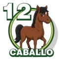 Resultado 12 Caballo de Zoologico Activo el 2026-08-26 a las 16:00