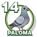 Resultado 14 Paloma de Zoologico Activo el 2026-05-27 a las 14:00