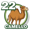 Resultado 22 Camello de Zoologico Activo el 2026-07-27 a las 14:00