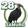 Resultado 28 Zamuro de Zoologico Activo el 2026-07-27 a las 16:00