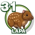 Resultado 31 Lapa de Zoologico Activo el 2026-05-28 a las 09:00
