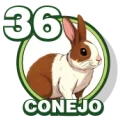 Resultado 36 Conejo de Zoologico Activo el 2026-07-12 a las 12:00