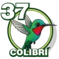 Resultado 37 Colibri de Zoologico Activo el 2026-10-11 a las 15:00
