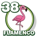 Resultado 38 Flamenco de Zoologico Activo el 2026-06-12 a las 13:00