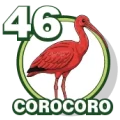 Resultado 46 Corocoro de Zoologico Activo el 2026-10-11 a las 16:00