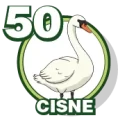 Resultado 50 Cisne de Zoologico Activo el 2026-05-28 a las 10:00
